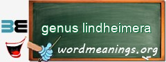 WordMeaning blackboard for genus lindheimera